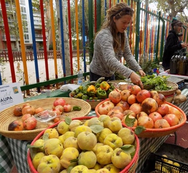 Mercadillos Mola