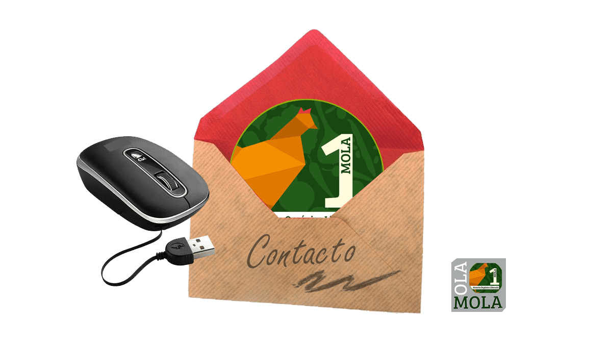 Mola-Contacto