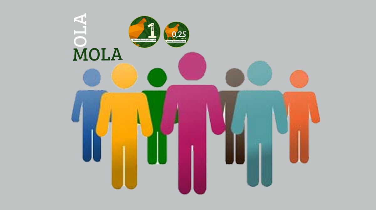 Gente Mola-Servicios