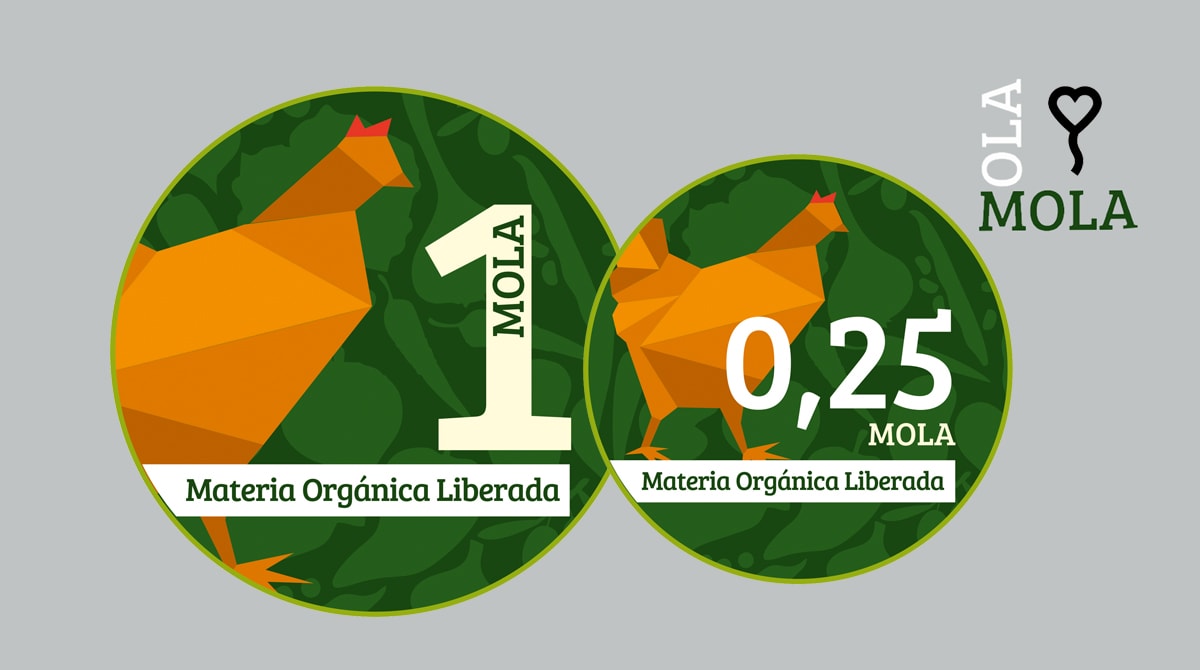 Presentación de la moneda Mola